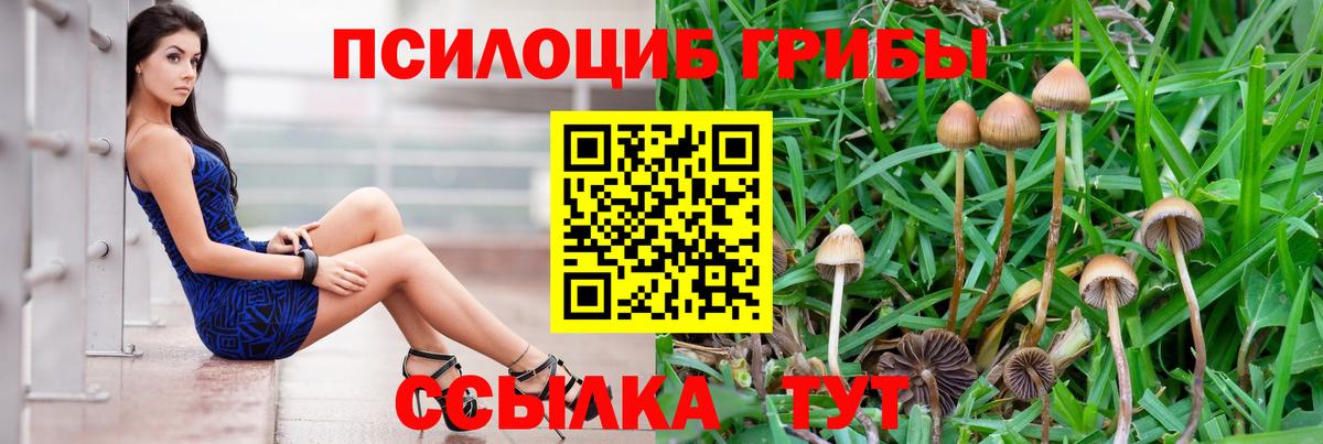 Галлюциногенные грибы мицелий Жигулёвск