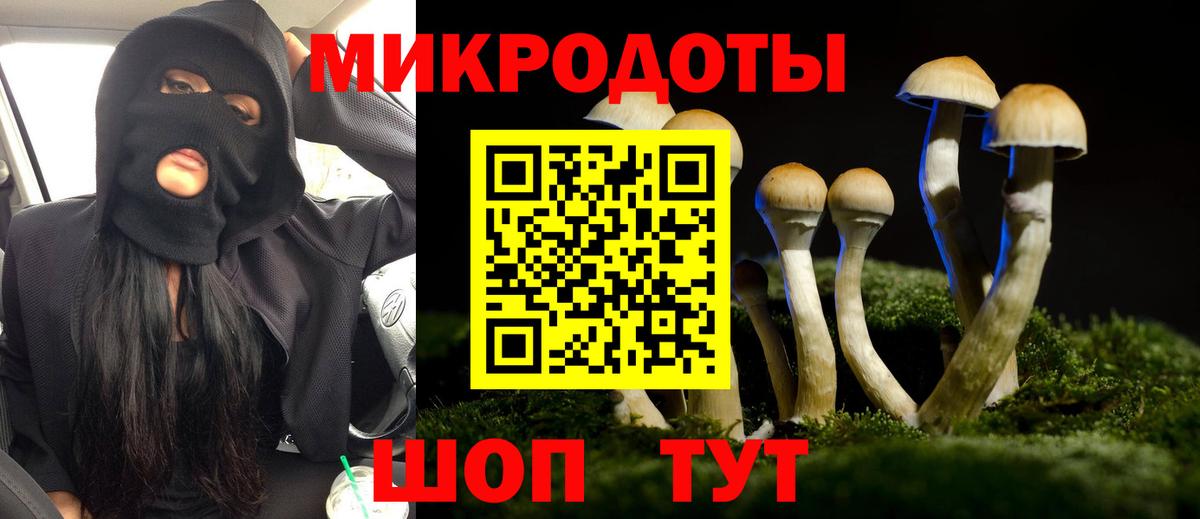 Жигулёвск  Галлюциногенные грибы ЛСД  Вход с VPN 